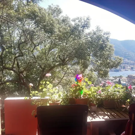 Il Mare Tra Gli Alberi By Portofinovacanze
